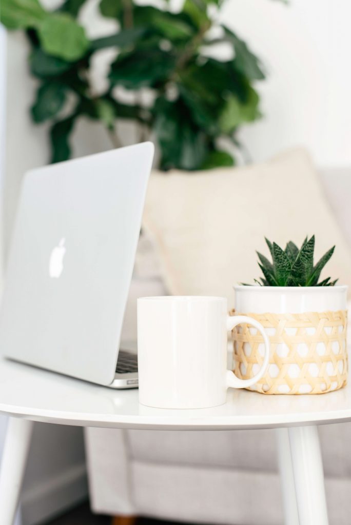 white desk with Macbook and succulent