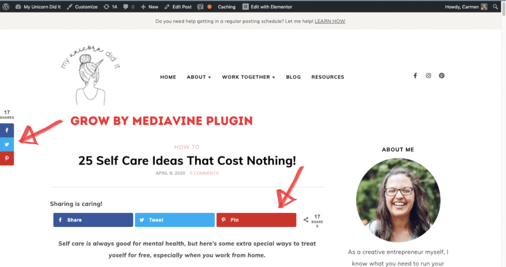 Grow by Mediavine plugin how to
